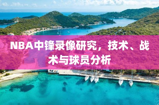 NBA中锋录像研究，技术、战术与球员分析