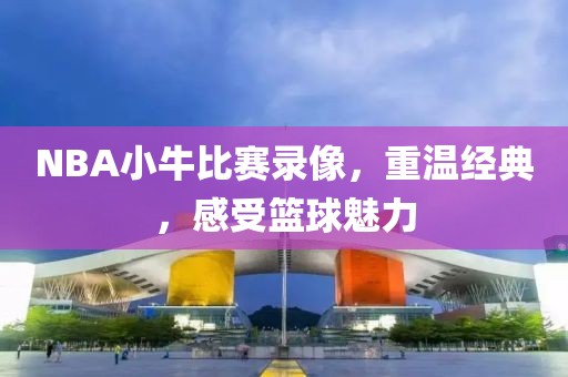 NBA小牛比赛录像，重温经典，感受篮球魅力