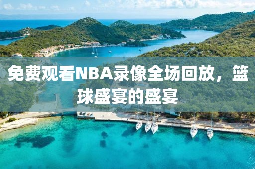 免费观看NBA录像全场回放，篮球盛宴的盛宴