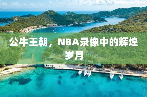 公牛王朝，NBA录像中的辉煌岁月