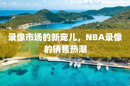 录像市场的新宠儿，NBA录像的销售热潮