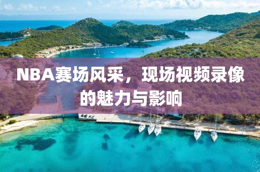 NBA赛场风采，现场视频录像的魅力与影响