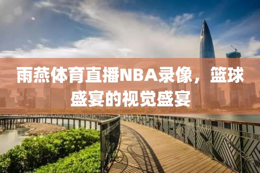 雨燕体育直播NBA录像，篮球盛宴的视觉盛宴